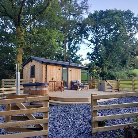 Ty Nant Gwenyn Villa Llanymawddwy Exterior foto